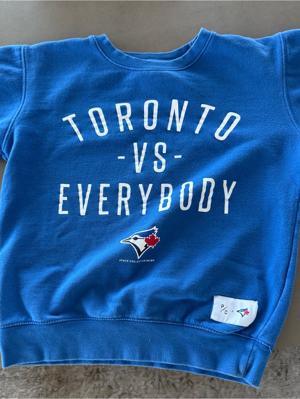 Blue "Toronto vs Everybody" Kids Sweatshirt -